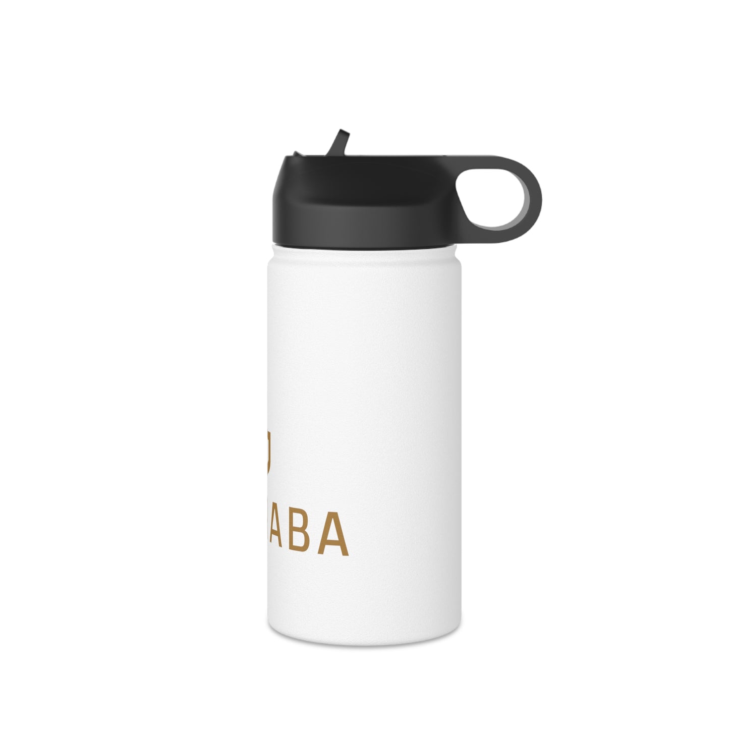 Stainless Steel Water Bottle, Standard Lid