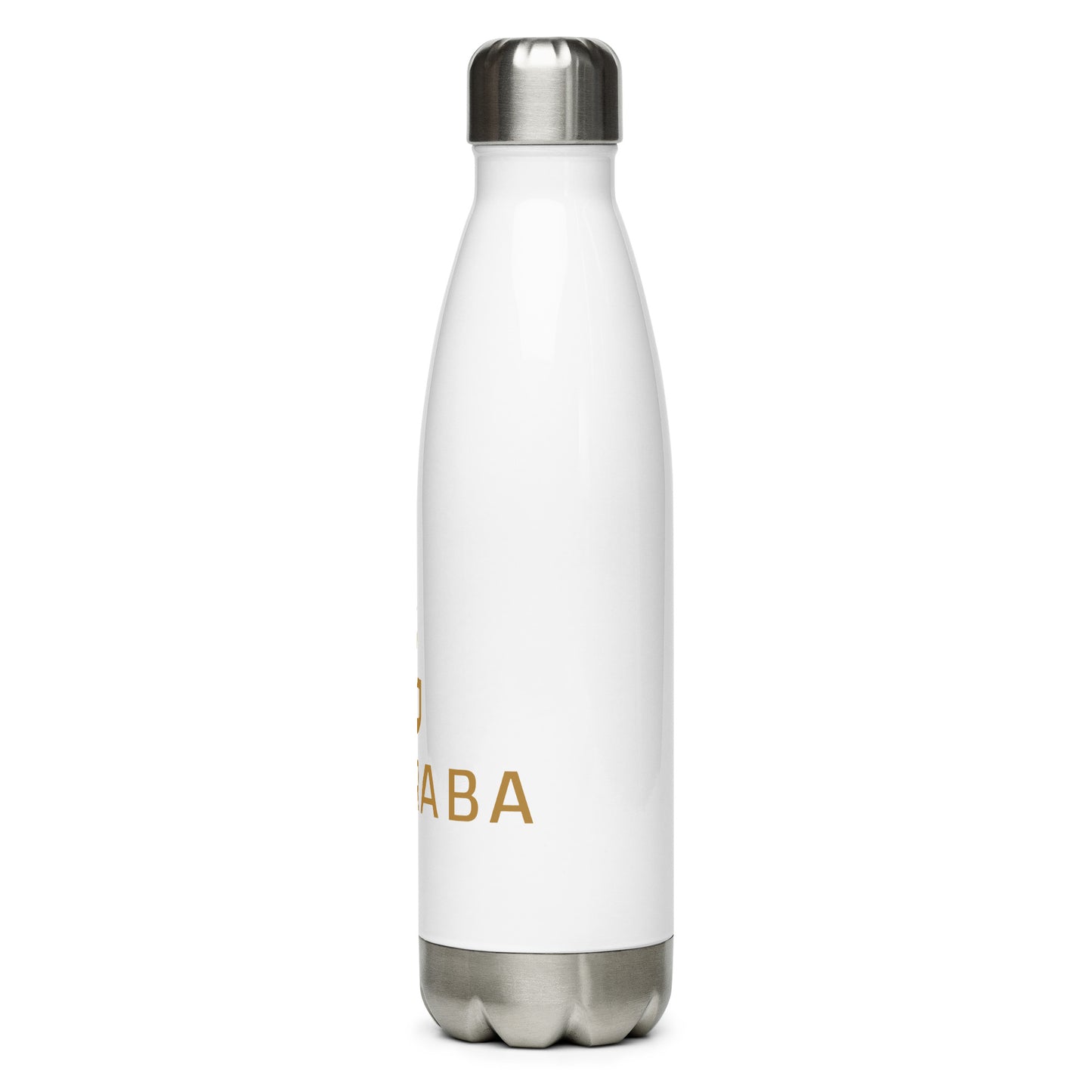 Stainless steel water bottle